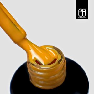 PALU gel polish Toronto T5