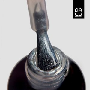 PALU Top Coat No Wipe Flash Silver