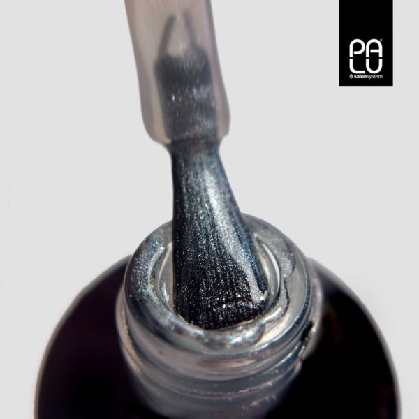 PALU Top Coat No Wipe Flash Silver