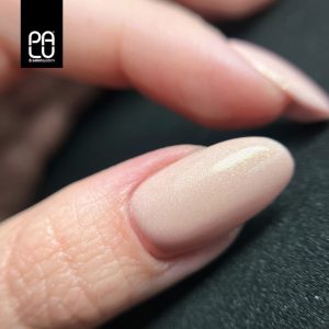 PALU gel polish Roma RO10