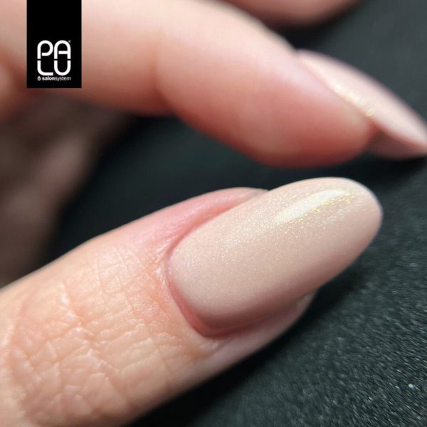 PALU gel polish Roma RO10