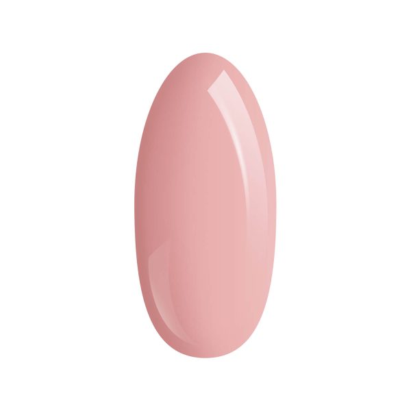 PALU builder gel Pro Light Classic Cover