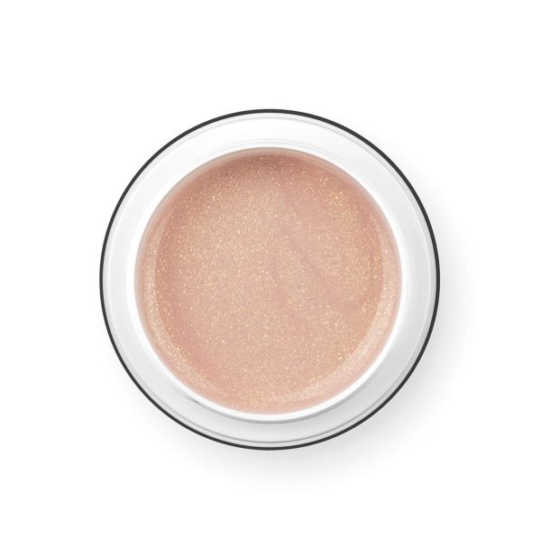 PALU builder gel Pro Light Charming Cover