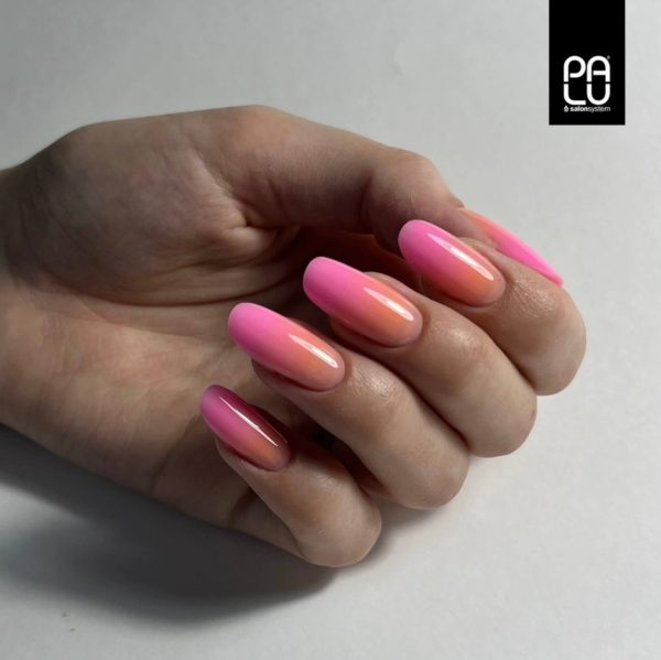 PALU builder gel Pro Light - Peachy (Limited)