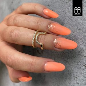 PALU builder gel Pro Light - Peachy (Limited)