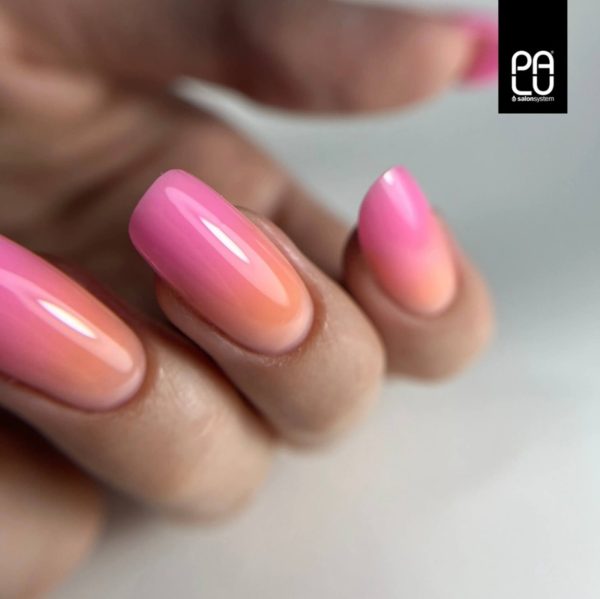 PALU builder gel Pro Light - Peachy (Limited)
