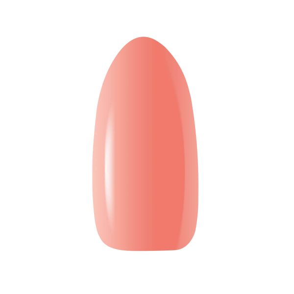 Claresa Soft & Easy builder gel Skin Cover