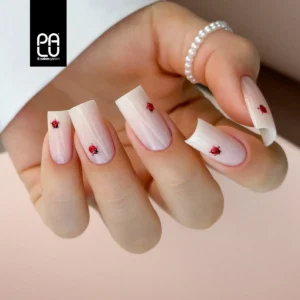 PALU top coat no wipe Highlight.
