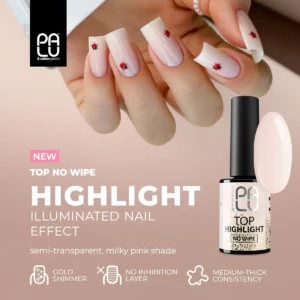 PALU Top Coat No Wipe Highlight